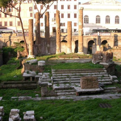 Notizie dagli Scavi. L’Area Sacra di Largo Argentina: dai primi templi repubblicani a scenario dell’uccisione di Giulio Cesare nella Curia di Pompeo