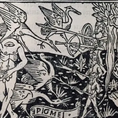 Mirabilia e Schemi Cronachistici: Giuliano Dati nella Cultura Romana del Rinascimento - La Colonna di Traiano e il suo Mito nei Viaggiatori tra Medioevo e Rinascimento